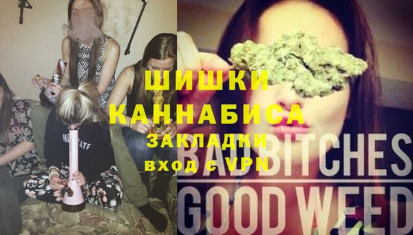 прущие грибы Балахна