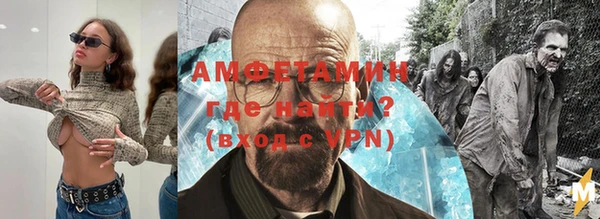 прущие грибы Балахна