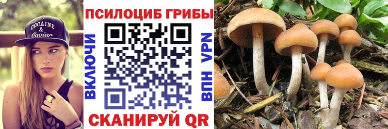Псилоцибиновые грибы GOLDEN TEACHER  Бобров 